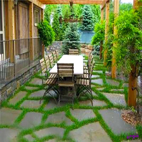 حیاط خانه را متحول کنید