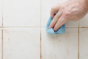 جرم گیر کاشی و سرامیک نانو