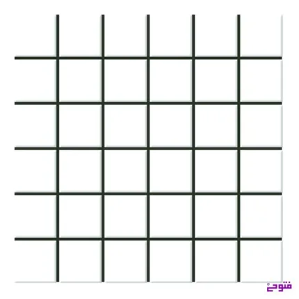 کاشی استخری 5 در 5 سفید01 درجه2