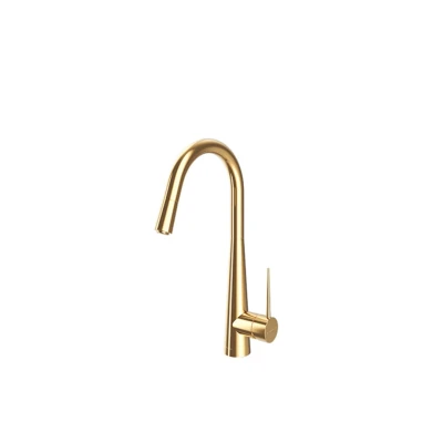 شیرآلات ظرفشویی شاوری ایتن طلایی شودر