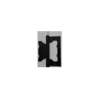 لولا پروانه مشکیd door