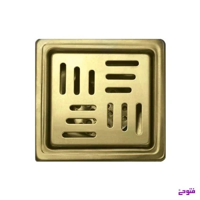 کفشور استیل مربی طلایی براق