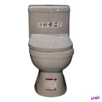 فرنگی گاتریا طوسی چینی نام